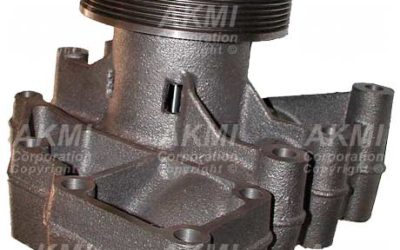 When and How Water Pumps Were Started